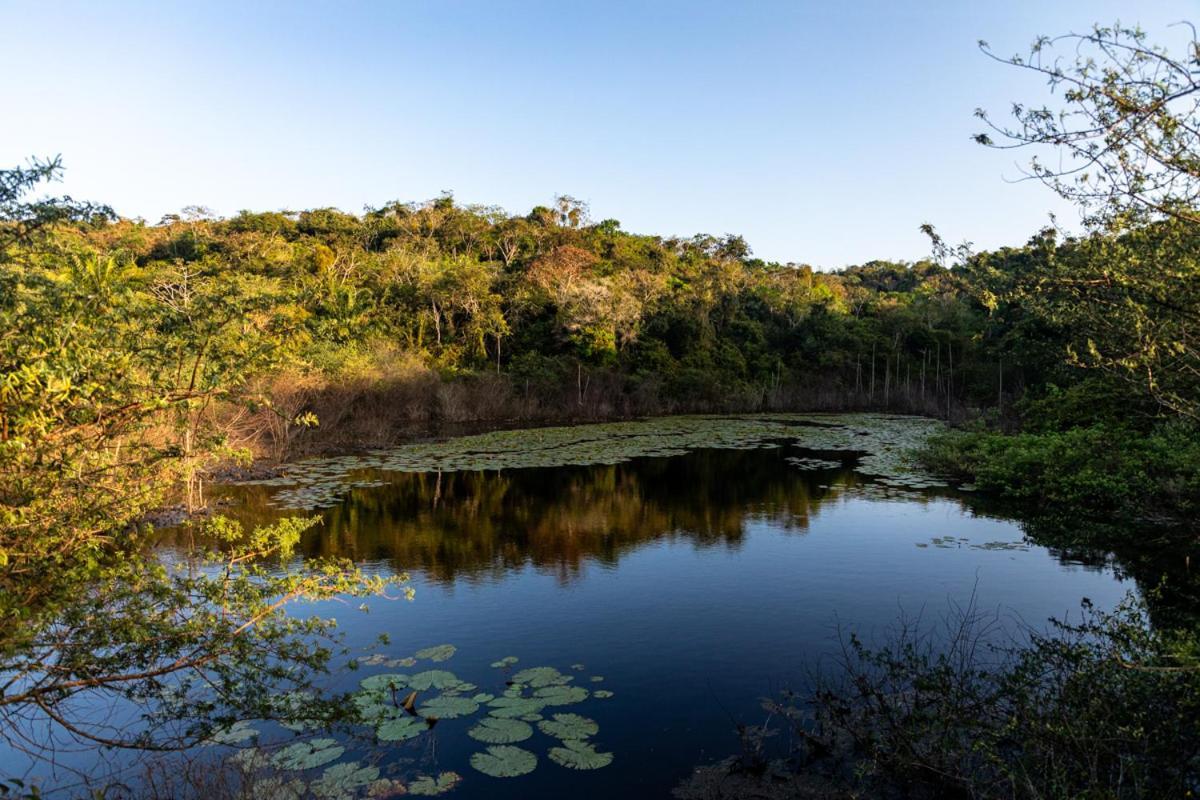 Fazenda Hotel Candeal Conceicao de Jacuipe エクステリア 写真