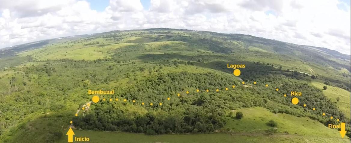 Fazenda Hotel Candeal Conceicao de Jacuipe エクステリア 写真