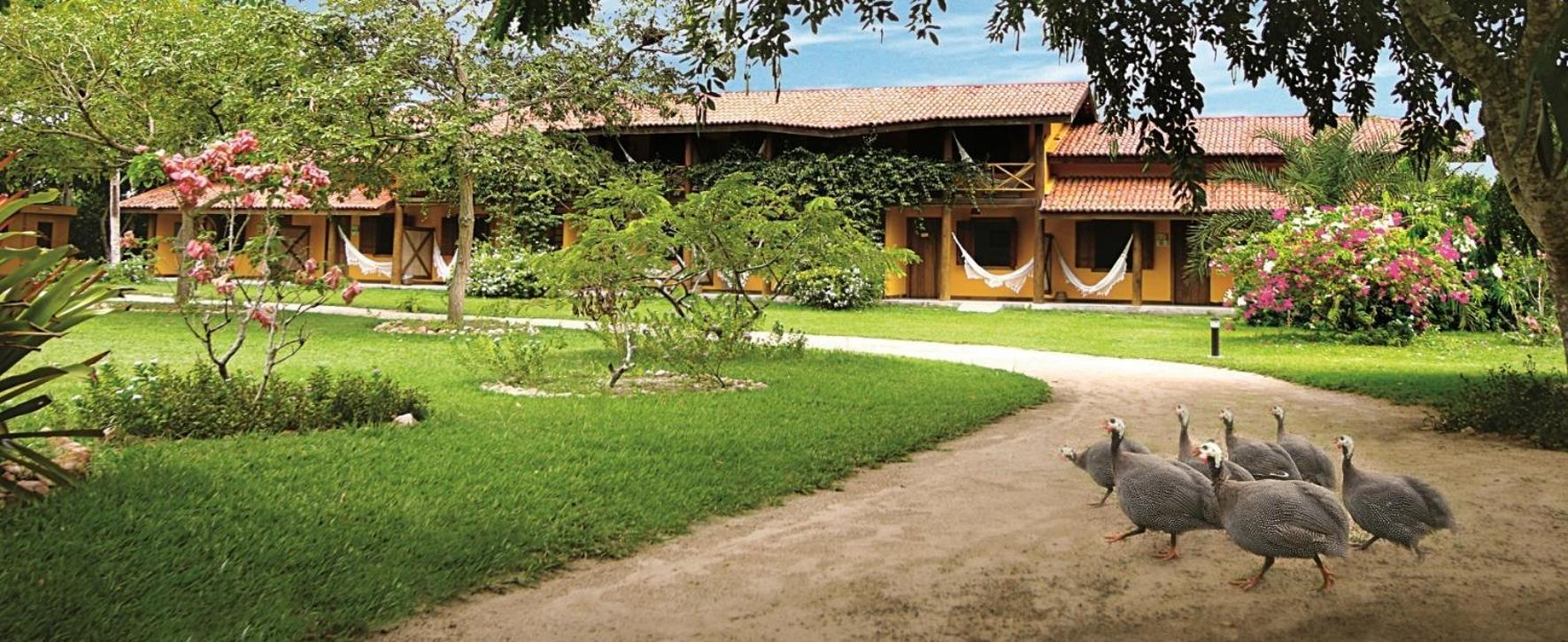 Fazenda Hotel Candeal Conceicao de Jacuipe エクステリア 写真